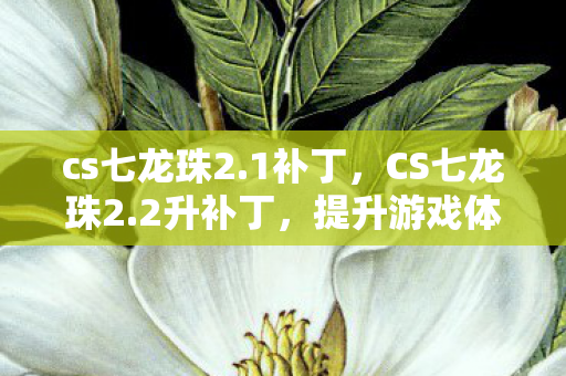 cs七龙珠2.1补丁，CS七龙珠2.2升补丁，提升游戏体验的必备神器