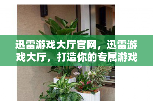 迅雷游戏大厅官网，迅雷游戏大厅，打造你的专属游戏乐园