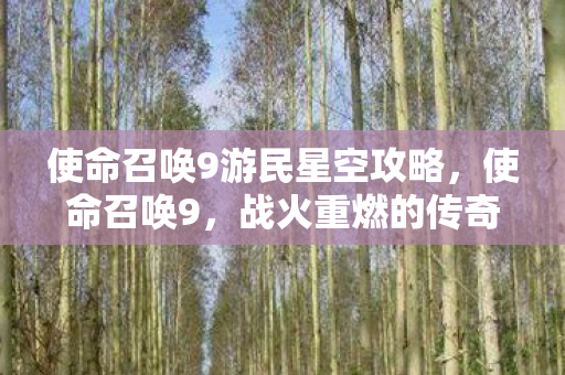 使命召唤9游民星空攻略,使命召唤9,战火重燃的传奇 使命召唤9游民星空攻略,使命召唤9,战火重燃的传奇