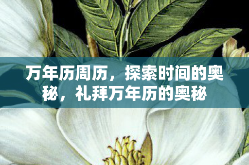 万年历周历,探索时间的奥秘,礼拜万年历的奥秘 万年历周历,探索时间的奥秘,礼拜万年历的奥秘