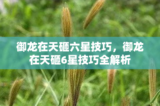 御龙在天砸六星技巧，御龙在天砸6星技巧全解析