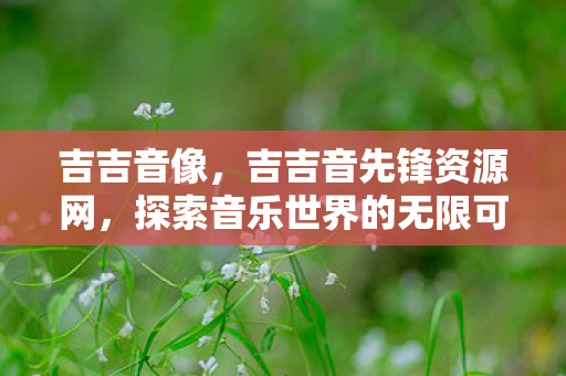 吉吉音像，吉吉音先锋资源网，探索音乐世界的无限可能