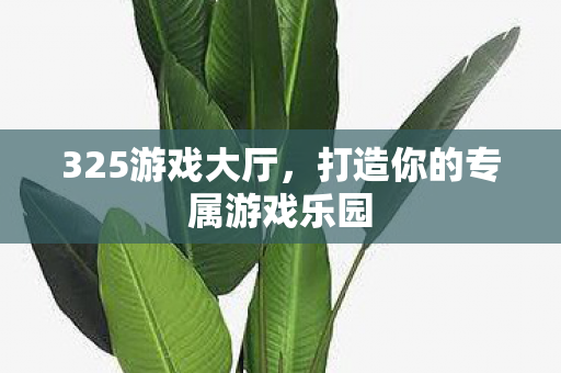 325游戏大厅,打造你的专属游戏乐园 325游戏大厅,打造你的专属游戏乐园