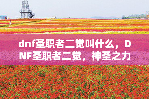 dnf圣职者二觉叫什么，DNF圣职者二觉，神圣之力的觉醒与传承