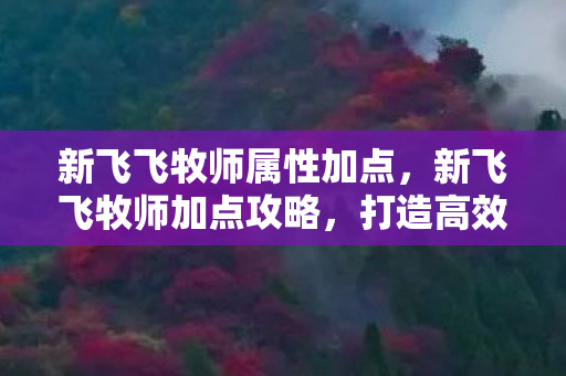 新飞飞牧师属性加点，新飞飞牧师加点攻略，打造高效治疗与辅助角色