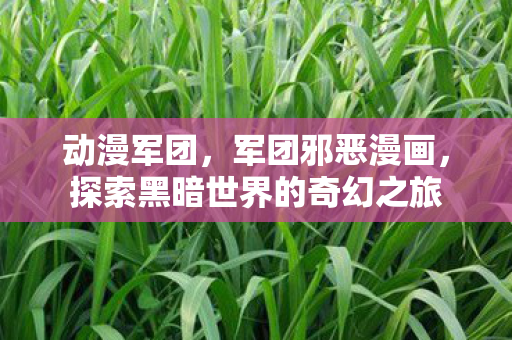 动漫军团，军团邪恶漫画，探索黑暗世界的奇幻之旅