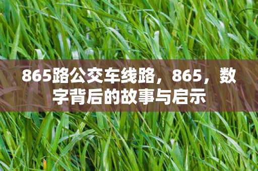 865路公交车线路，865，数字背后的故事与启示