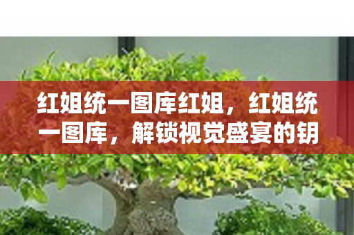 红姐统一图库红姐,红姐统一图库,解锁视觉盛宴的钥匙 红姐统一图库红姐,红姐统一图库,解锁视觉盛宴的钥匙