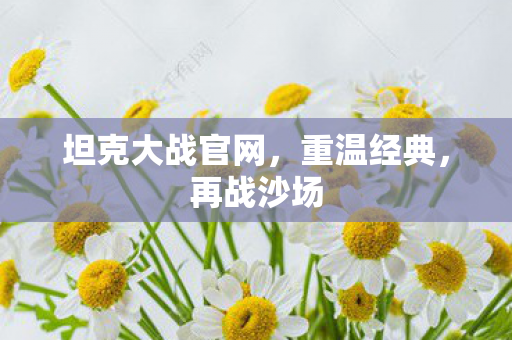 坦克大战官网,重温经典,再战沙场 坦克大战官网,重温经典,再战沙场