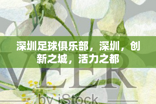 深圳足球俱乐部，深圳，创新之城，活力之都