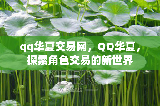 qq华夏交易网,QQ华夏,探索角色交易的新世界 qq华夏交易网,QQ华夏,探索角色交易的新世界