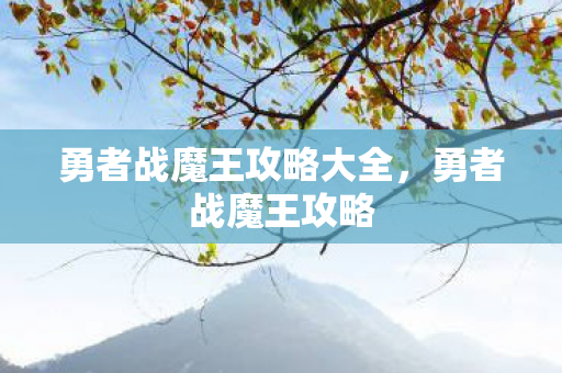 勇者战魔王攻略大全,勇者战魔王攻略 勇者战魔王攻略大全,勇者战魔王攻略