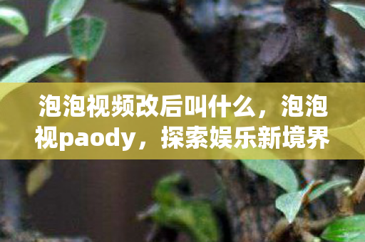 泡泡视频改后叫什么,泡泡视paody,探索娱乐新境界 泡泡视频改后叫什么,泡泡视paody,探索娱乐新境界