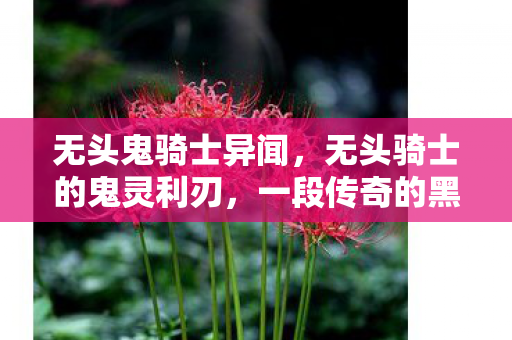 无头鬼骑士异闻,无头骑士的鬼灵利刃,一段传奇的黑暗传说 无头鬼骑士异闻,无头骑士的鬼灵利刃,一段传奇的黑暗传说