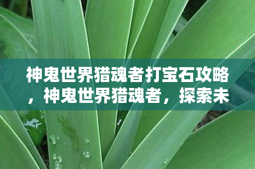 神鬼世界猎魂者打宝石攻略，神鬼世界猎魂者，探索未知，与灵魂共舞
