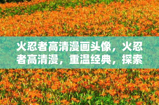 火忍者高清漫画头像，火忍者高清漫，重温经典，探索忍者世界的奥秘