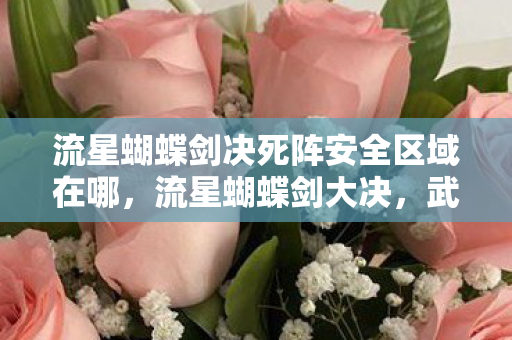 流星蝴蝶剑决死阵安全区域在哪,流星蝴蝶剑大决,武侠世界的终极对决 流星蝴蝶剑决死阵安全区域在哪,流星蝴蝶剑大决,武侠世界的终极对决