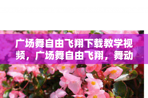 广场舞自由飞翔下载教学视频,广场舞自由飞翔,舞动生活的旋律 广场舞自由飞翔下载教学视频,广场舞自由飞翔,舞动生活的旋律