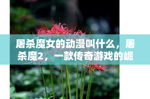 屠杀魔女的动漫叫什么,屠杀魔2,一款传奇游戏的崛起与影响 屠杀魔女的动漫叫什么,屠杀魔2,一款传奇游戏的崛起与影响