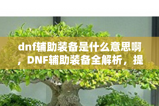 dnf辅助装备是什么意思啊，DNF辅助装备全解析，提升战斗力的神秘利器