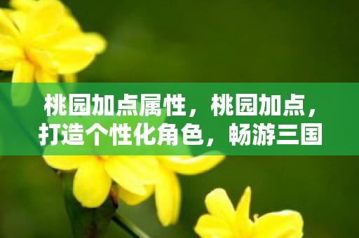 桃园加点属性,桃园加点,打造个性化角色,畅游三国世界 桃园加点属性,桃园加点,打造个性化角色,畅游三国世界