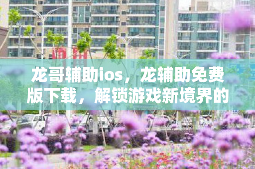 龙哥辅助ios，龙辅助免费版下载，解锁游戏新境界的便捷途径