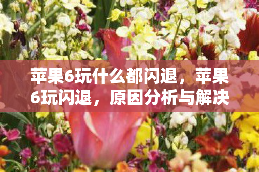 苹果6玩什么都闪退，苹果6玩闪退，原因分析与解决策略