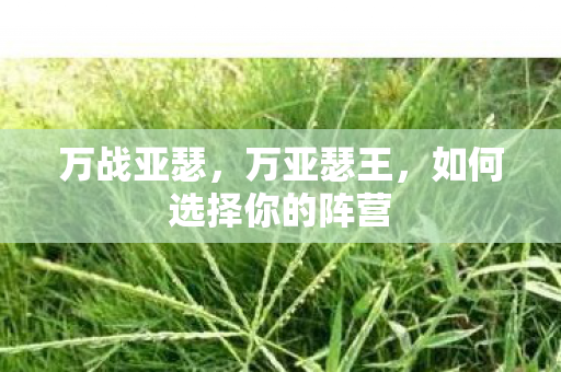 万战亚瑟,万亚瑟王,如何选择你的阵营 万战亚瑟,万亚瑟王,如何选择你的阵营