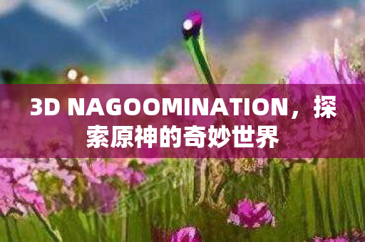 3D NAGOOMINATION,探索原神的奇妙世界 3D NAGOOMINATION,探索原神的奇妙世界