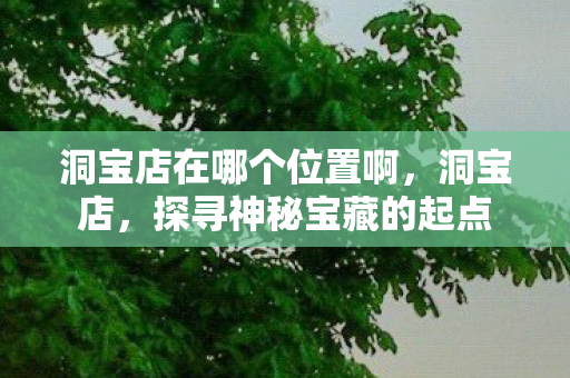洞宝店在哪个位置啊，洞宝店，探寻神秘宝藏的起点