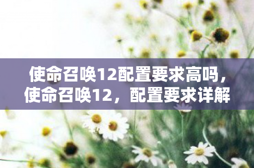 使命召唤12配置要求高吗，使命召唤12，配置要求详解