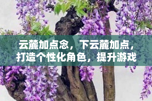云麓加点念,下云麓加点,打造个性化角色,提升游戏实力 云麓加点念,下云麓加点,打造个性化角色,提升游戏实力