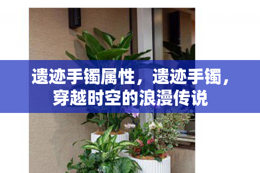 遗迹手镯属性,遗迹手镯,穿越时空的浪漫传说 遗迹手镯属性,遗迹手镯,穿越时空的浪漫传说