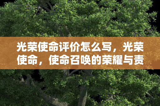 光荣使命评价怎么写，光荣使命，使命召唤的荣耀与责任