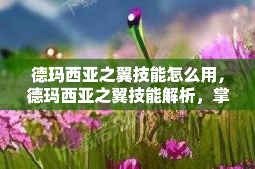 德玛西亚之翼技能怎么用,德玛西亚之翼技能解析,掌握空中霸主的战斗艺术 德玛西亚之翼技能怎么用,德玛西亚之翼技能解析,掌握空中霸主的战斗艺术