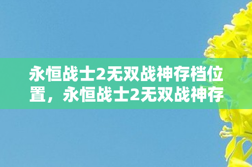 永恒战士2无双战神存档位置，永恒战士2无双战神存档，解锁你的游戏新篇章