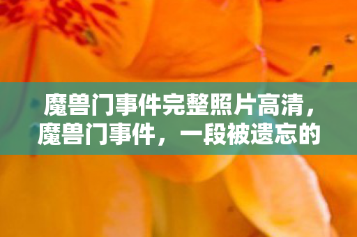 魔兽门事件完整照片高清，魔兽门事件，一段被遗忘的往事
