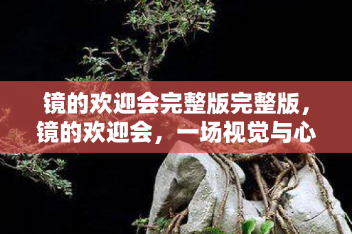 镜的欢迎会完整版完整版,镜的欢迎会,一场视觉与心灵的盛宴 镜的欢迎会完整版完整版,镜的欢迎会,一场视觉与心灵的盛宴