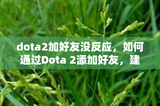 dota2加好友没反应,如何通过Dota 2添加好友,建立游戏社交圈 dota2加好友没反应,如何通过Dota 2添加好友,建立游戏社交圈