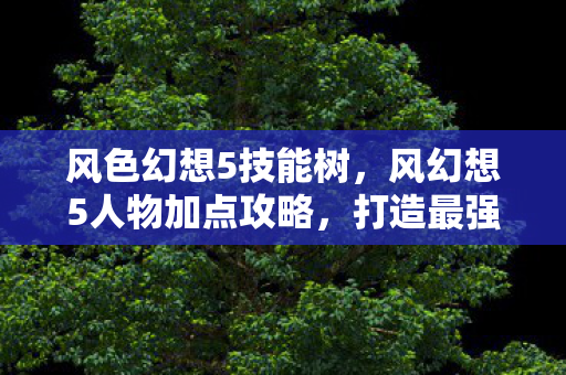 风色幻想5技能树，风幻想5人物加点攻略，打造最强角色，驰骋幻想世界