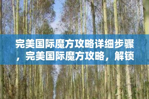 完美国际魔方攻略详细步骤，完美国际魔方攻略，解锁无限可能的智慧之旅