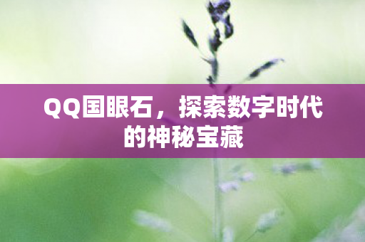 QQ国眼石,探索数字时代的神秘宝藏 QQ国眼石,探索数字时代的神秘宝藏