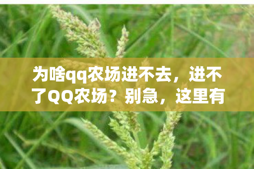 为啥qq农场进不去，进不了QQ农场？别急，这里有解决办法！