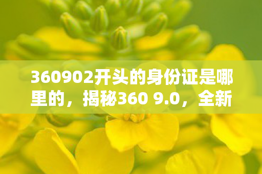 360902开头的身份证是哪里的，揭秘360 9.0，全新升级带来的惊喜与挑战
