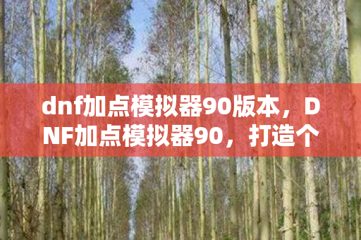 dnf加点模拟器90版本，DNF加点模拟器90，打造个性化角色，提升战斗力的必备工具