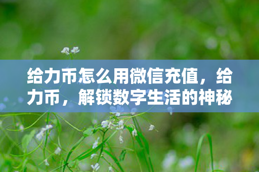 给力币怎么用微信充值,给力币,解锁数字生活的神秘钥匙 给力币怎么用微信充值,给力币,解锁数字生活的神秘钥匙