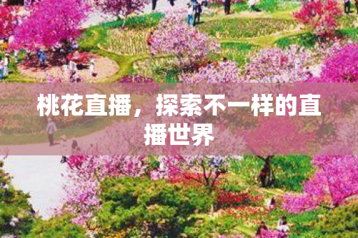 桃花直播,探索不一样的直播世界 桃花直播,探索不一样的直播世界