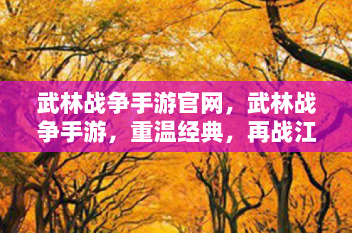 武林战争手游官网，武林战争手游，重温经典，再战江湖