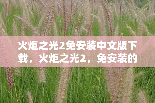 火炬之光2免安装中文版下载，火炬之光2，免安装的游戏乐趣