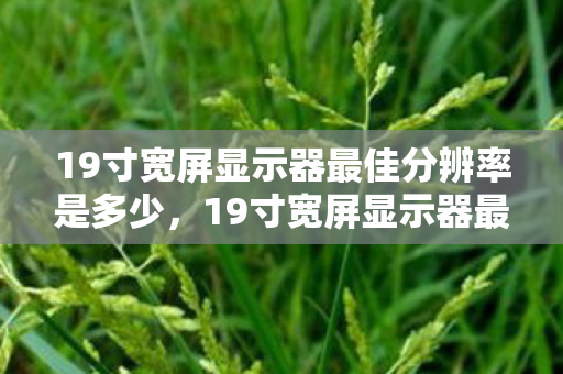 19寸宽屏显示器最佳分辨率是多少，19寸宽屏显示器最佳分辨率，打造完美视觉体验